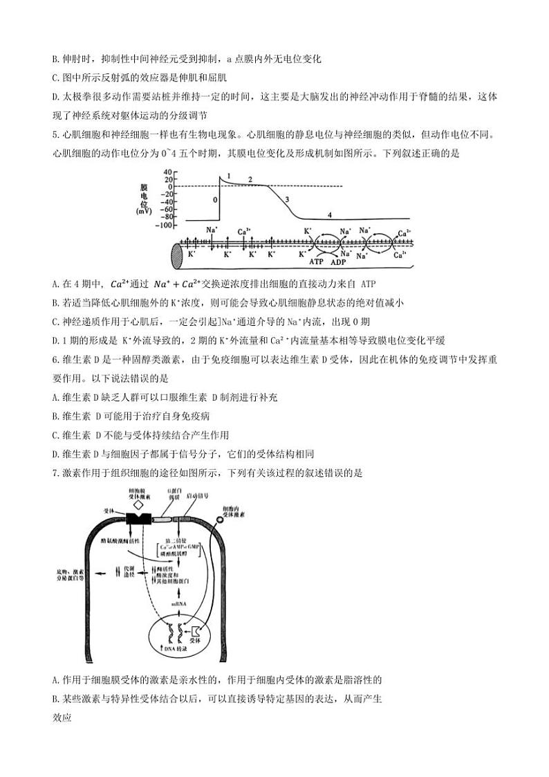 2024~2025学年湖南省名校高二(上)12月检测生物试卷(含解析)第2页