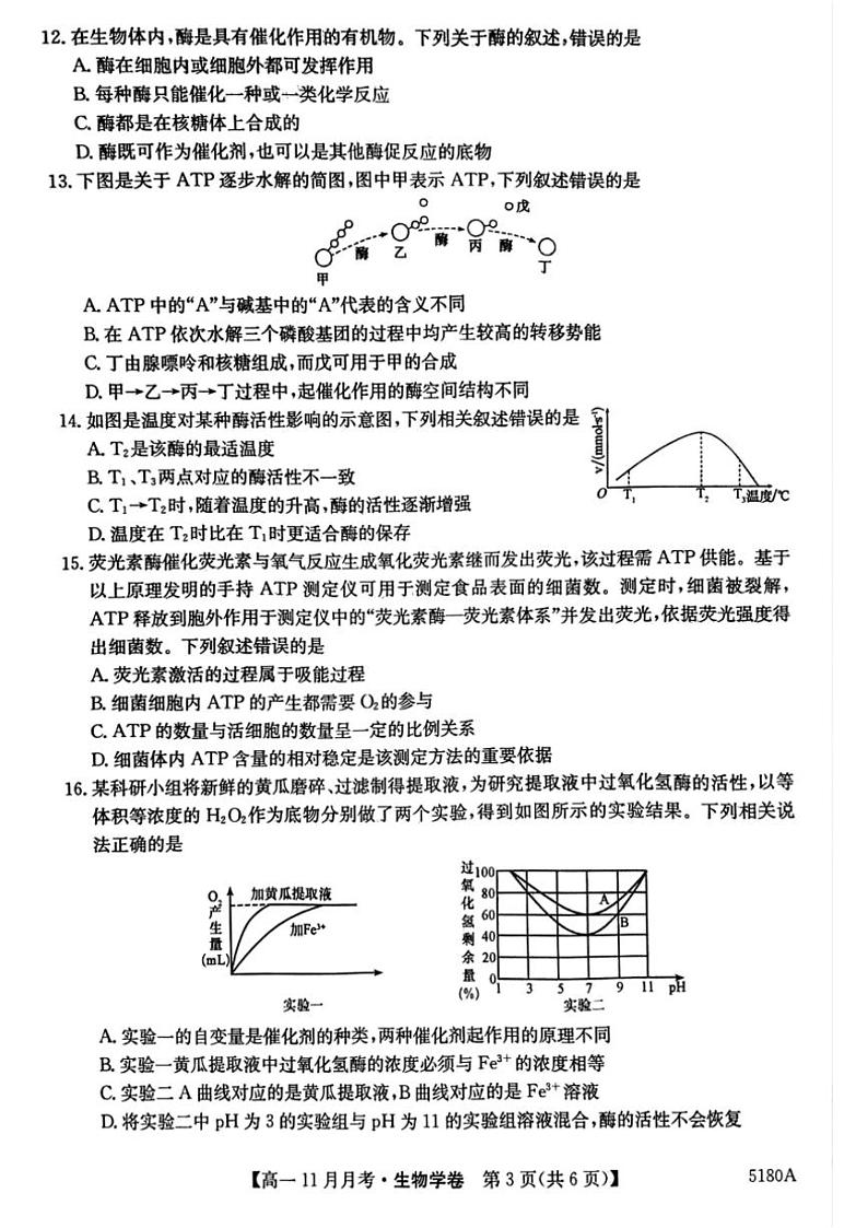 2024~2025学年安徽省蚌埠市固镇县毛钽厂实验中学高一(上)12月月考生物试卷(含答案)第3页