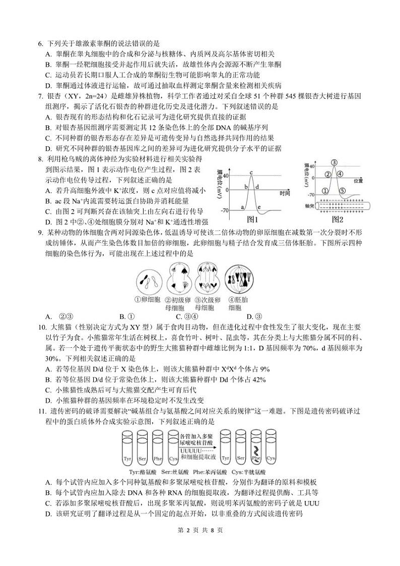 2024~2025学年重庆市沙坪坝区重庆市第一中学校高二(上)12月期中生物试卷(含解析)第2页