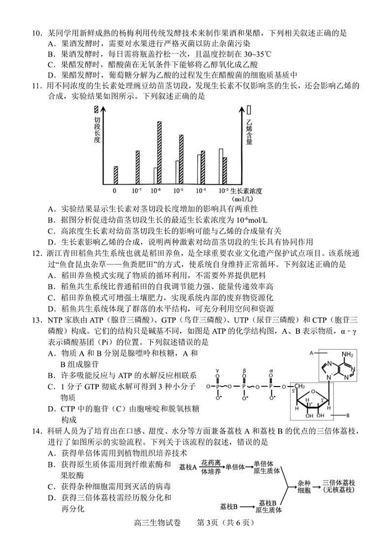 2024~2025学年广西高三(上)9月联考生物试卷(无答案)第3页