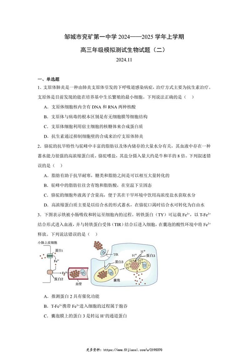 2024~2025学年山东省济宁市邹城市兖矿第一中学高三(上)模拟测试生物试卷(二)(含答案)第1页