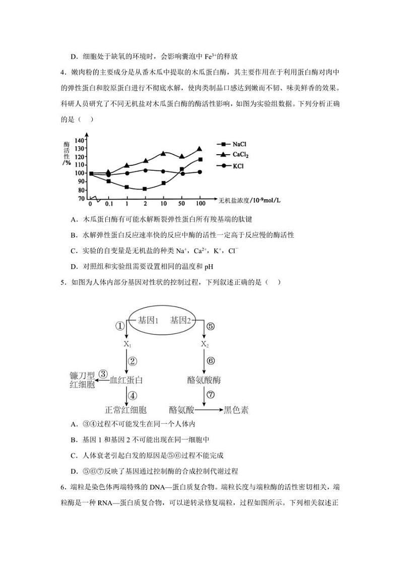 2024~2025学年山东省济宁市邹城市兖矿第一中学高三(上)模拟测试生物试卷(二)(含答案)第2页