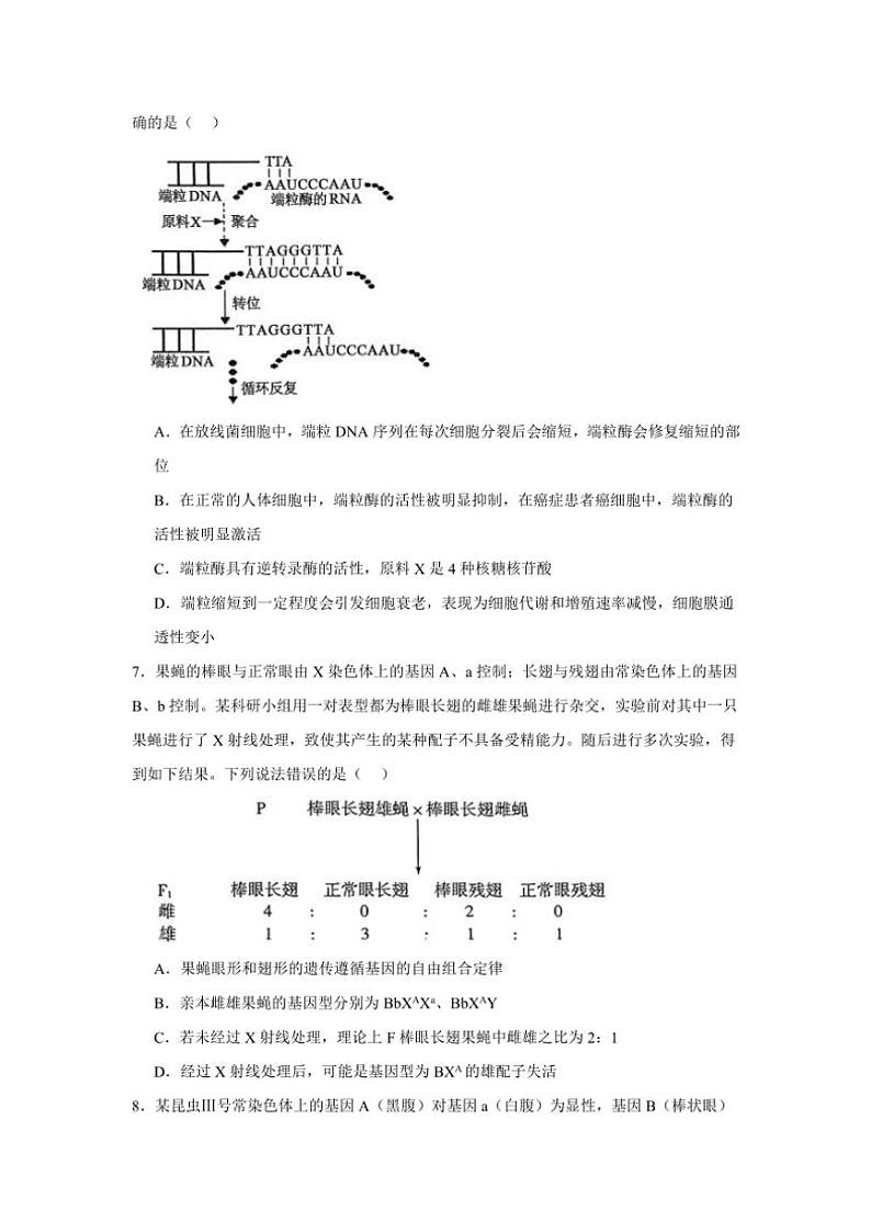2024~2025学年山东省济宁市邹城市兖矿第一中学高三(上)模拟测试生物试卷(二)(含答案)第3页