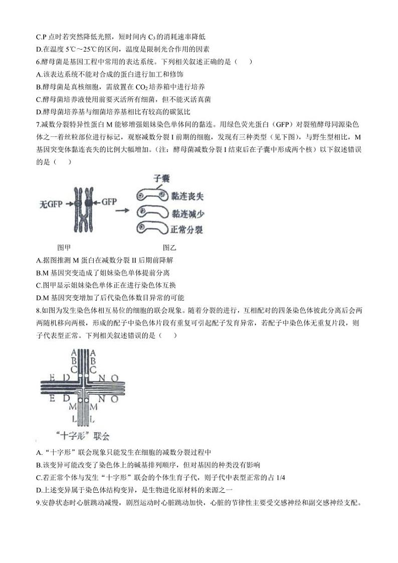 2024~2025学年江苏省泰州市靖江市高级中学高三(上)期中调研生物试卷(含答案)第2页