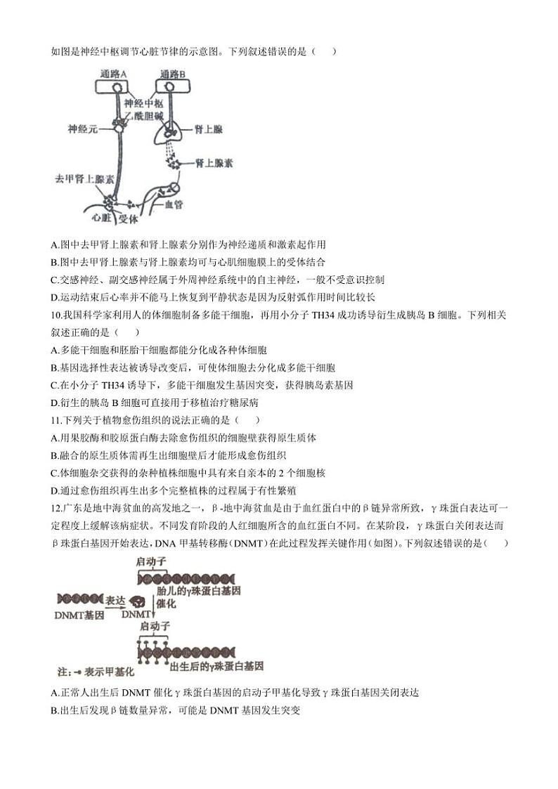 2024~2025学年江苏省泰州市靖江市高级中学高三(上)期中调研生物试卷(含答案)第3页