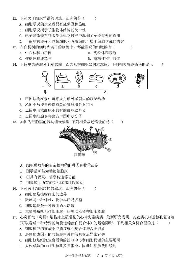 2024~2025学年浙江省杭州市S9联盟高一(上)期中联考生物试卷(含答案)第3页
