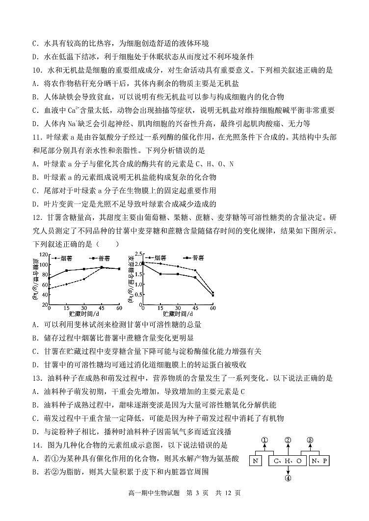 山东省济南市市中区山东省实验中学2024-2025学年高一上学期11月期中生物试题第3页