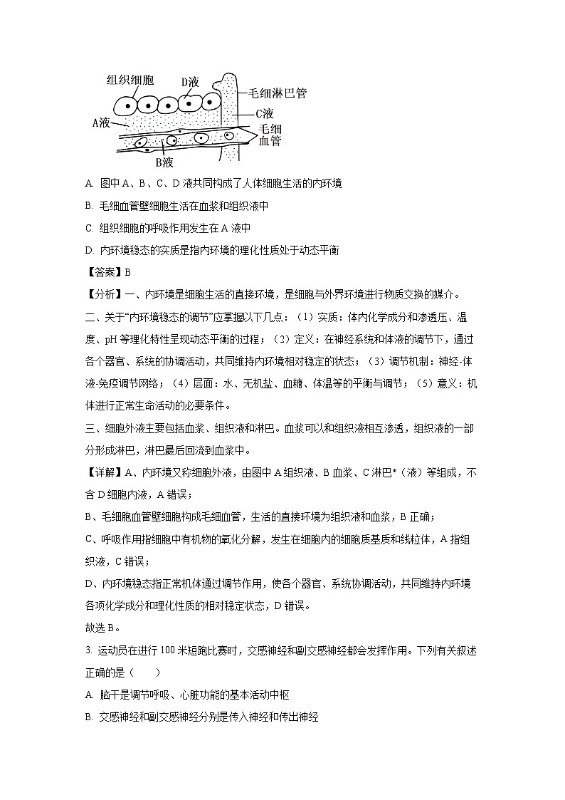 2024-2025学年陕西省部分学校高二(上)期中考试生物试卷(解析版)第2页