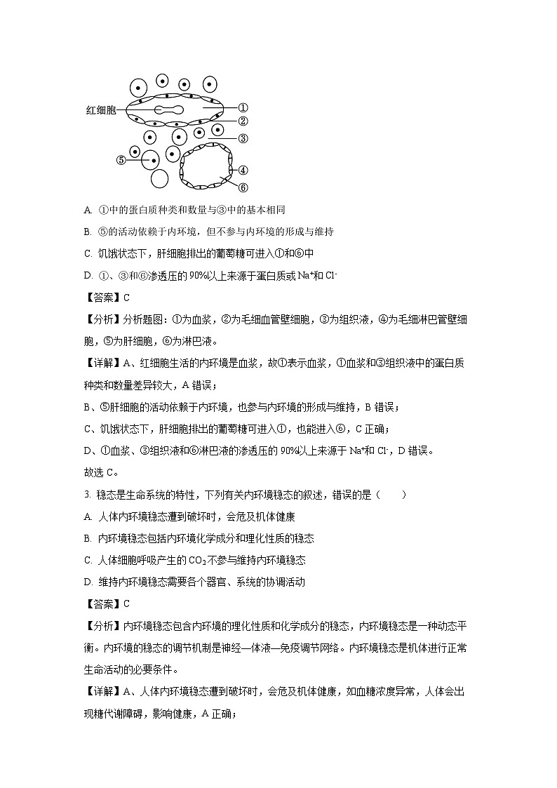 2024-2025学年江西省部分学校高二(上)11月期中生物试卷(解析版)第2页