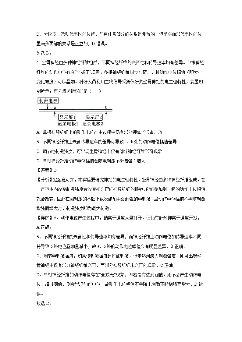 2024-2025学年江苏省扬州市江都区高二(上)11月期中生物试卷(解析版)第3页
