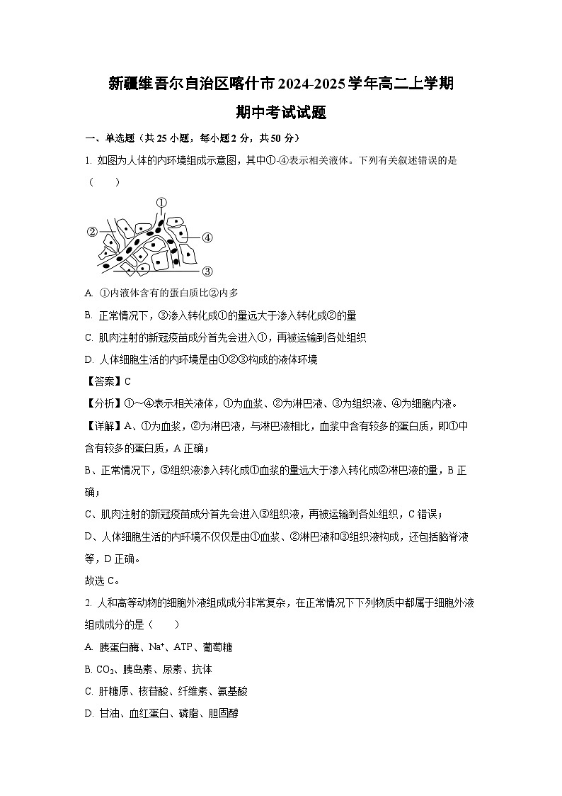 2024-2025学年新疆维吾尔自治区喀什市高二(上)期中考试生物试卷(解析版)第1页