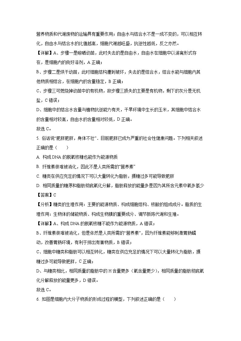 2024-2025学年广东省清远市九校联考高一(上)11月期中生物试卷第3页