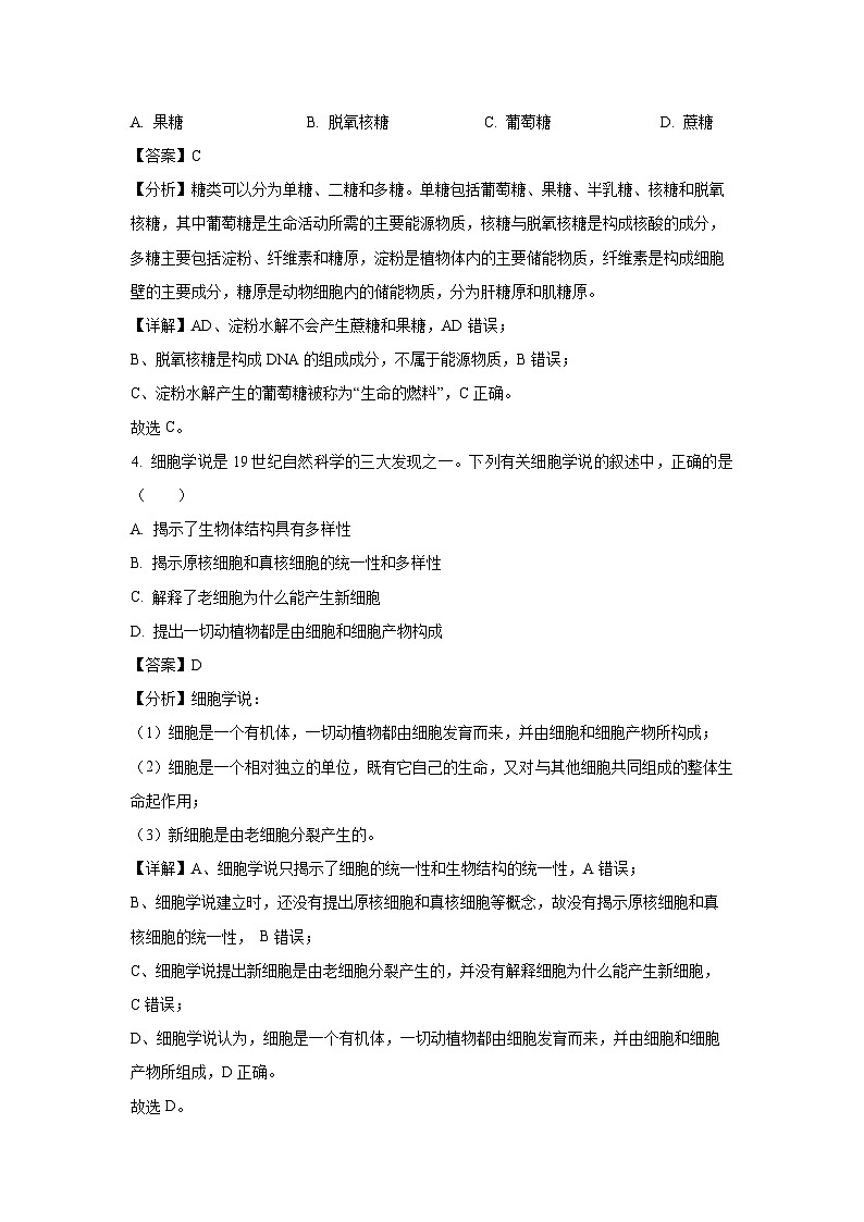 2023-2024学年广东省汕头市澄海区高一(上)1月期末生物试卷(解析版)第2页