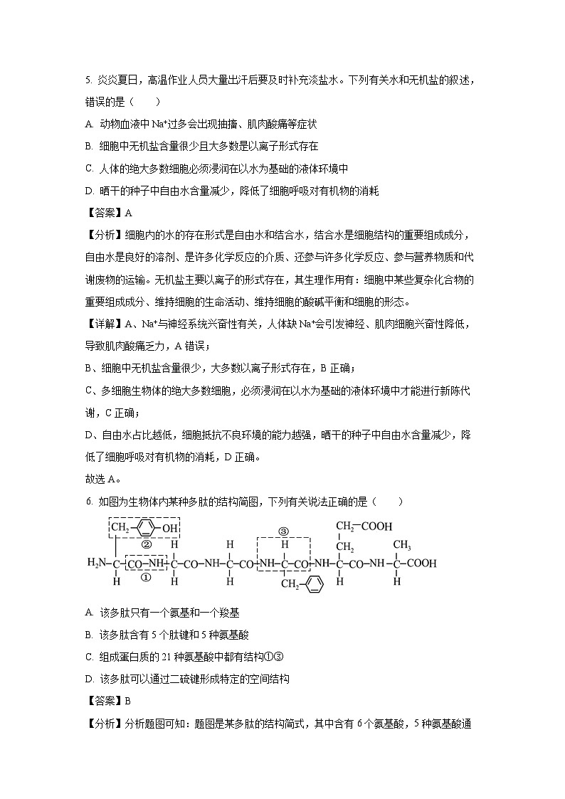 2023-2024学年广东省汕头市澄海区高一(上)1月期末生物试卷(解析版)第3页