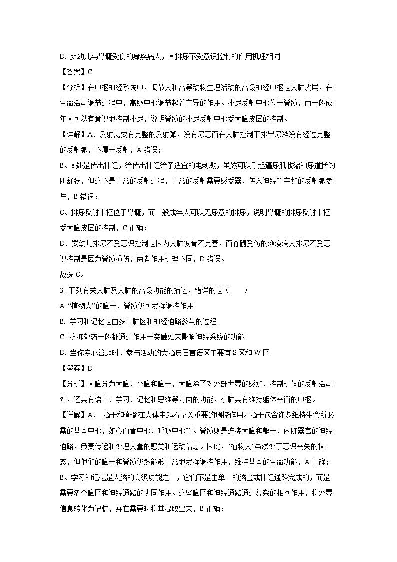 2024-2025学年山东省青岛市黄岛区高二(上)11月期中生物试卷(解析版)第3页