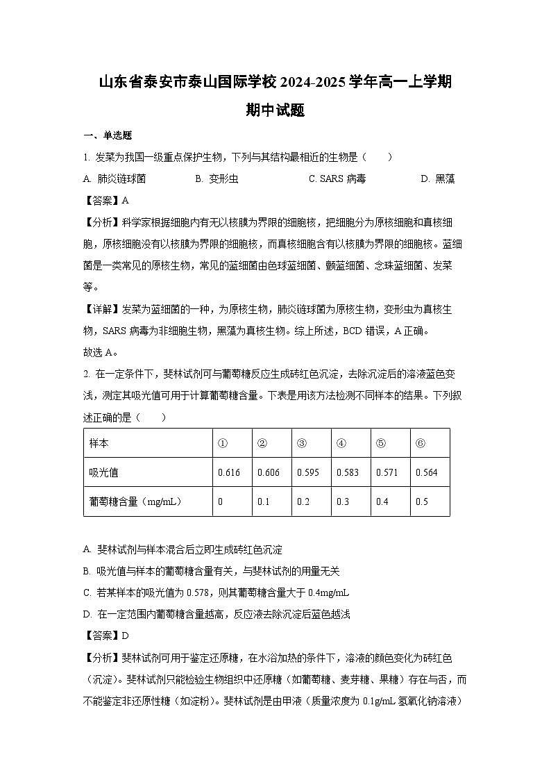 2024-2025学年山东省泰安市泰山国际学校高一(上)期中生物试卷(解析版)第1页