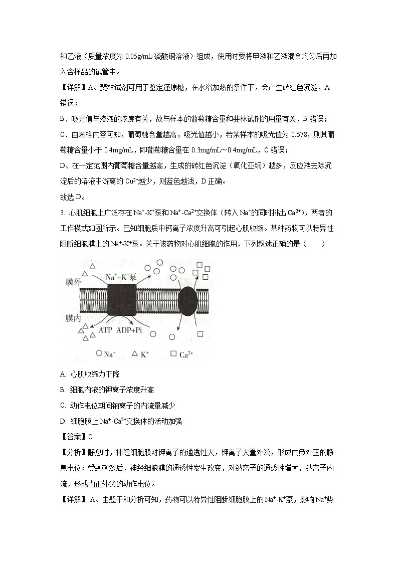 2024-2025学年山东省泰安市泰山国际学校高一(上)期中生物试卷(解析版)第2页
