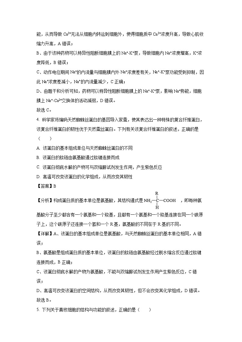 2024-2025学年山东省泰安市泰山国际学校高一(上)期中生物试卷(解析版)第3页