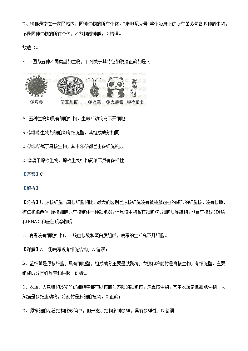 山东省济南市重点高中2024-2025学年高一上学期11月期中考试生物含答案第3页