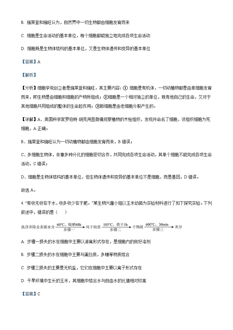 广东省东莞市重点高中2024-2025学年高一上学期11月期中联考试题生物含答案第3页