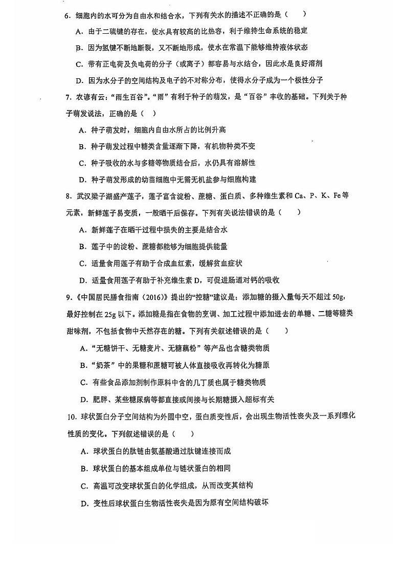 湖北省部分重点高中2024-2025学年高一上学期10月联考试题生物含答案第2页