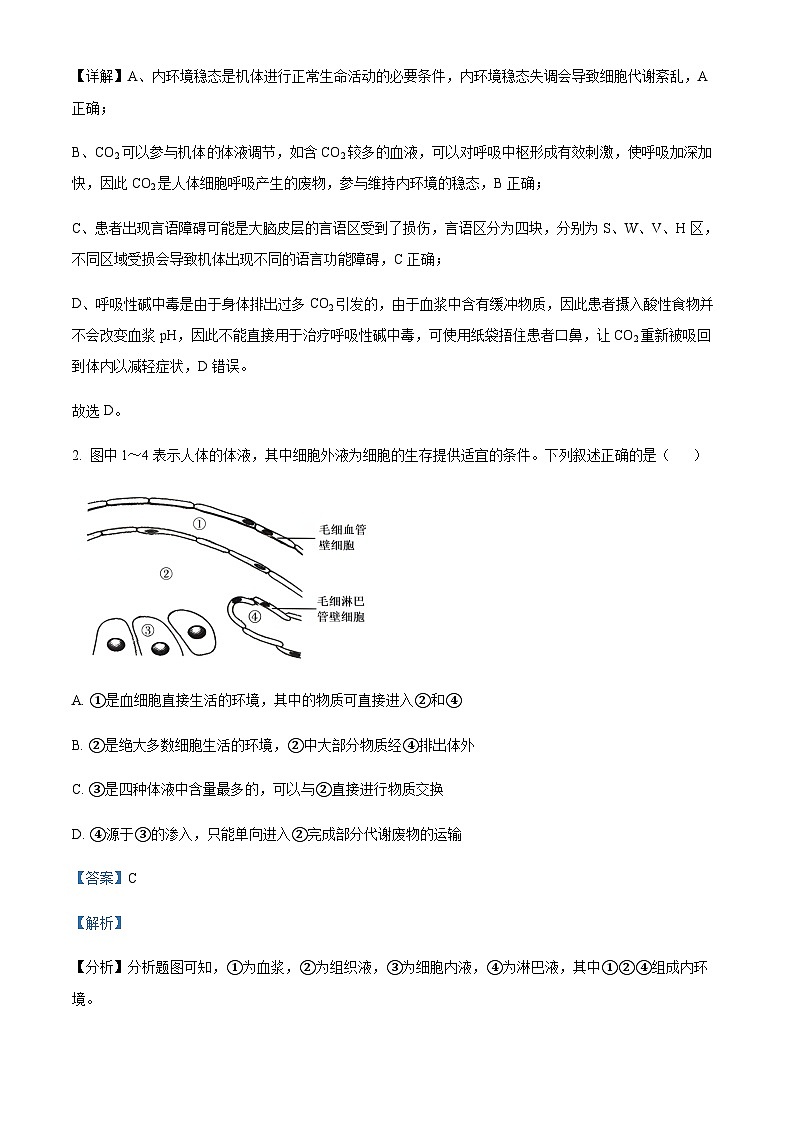 河北省邢台市重点高中2024-2025学年高二上学期11月期中考试生物试题含答案第2页
