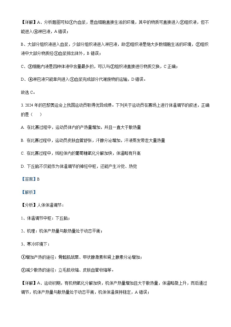 河北省邢台市重点高中2024-2025学年高二上学期11月期中考试生物试题含答案第3页