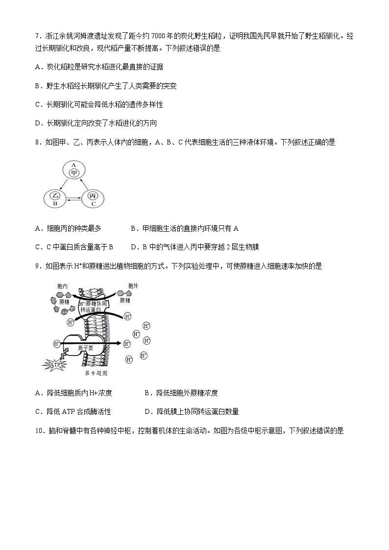浙江省部分重点高中2024-2025学年高二上学期11月期中考试生物含答案第2页
