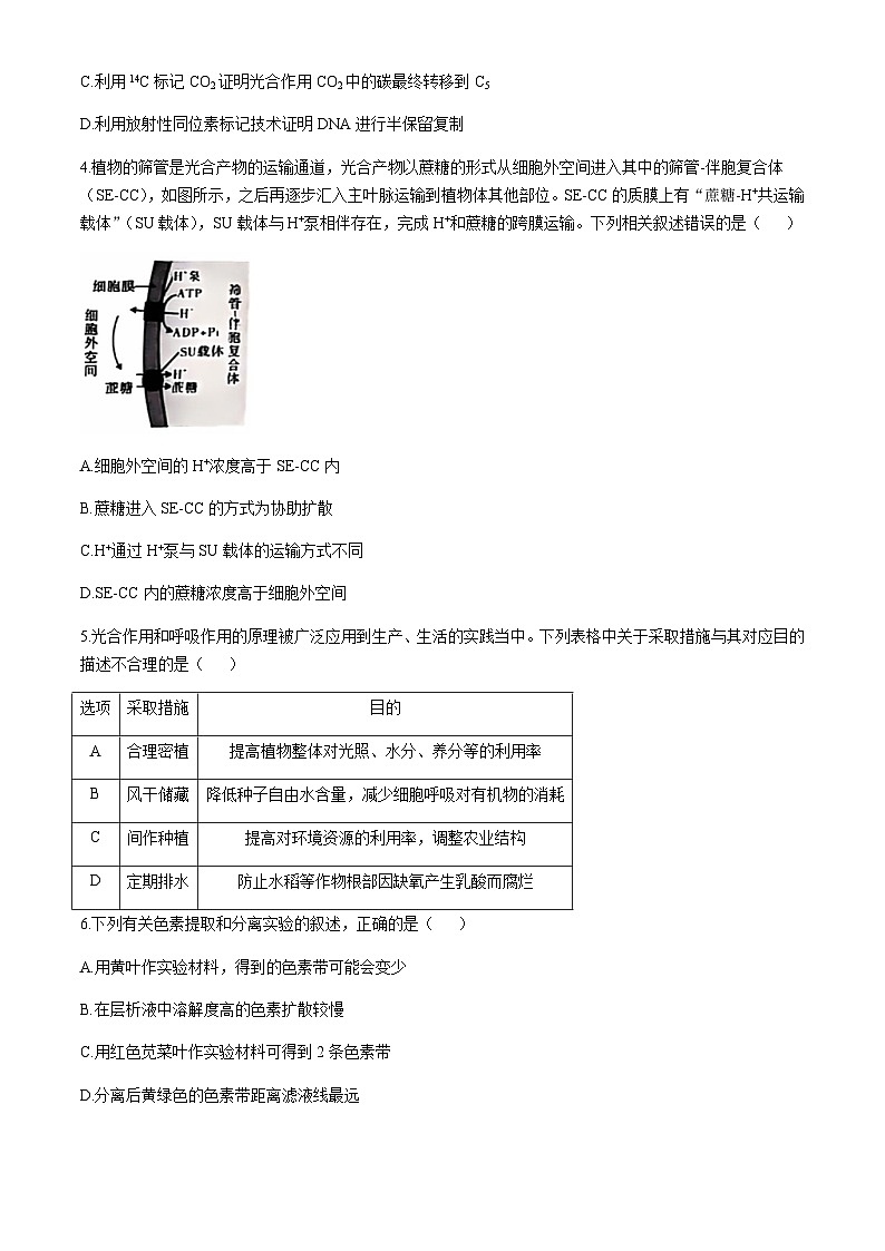 陕西省榆林市2024-2025学年高三上学期11月第一次模拟检测生物含答案第2页
