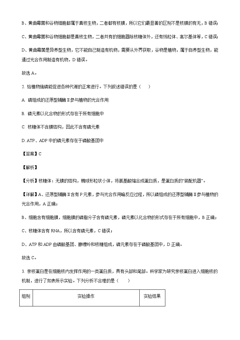 河北省衡水市2024-2025学年高三上学期10月学科素养检测生物含答案第2页