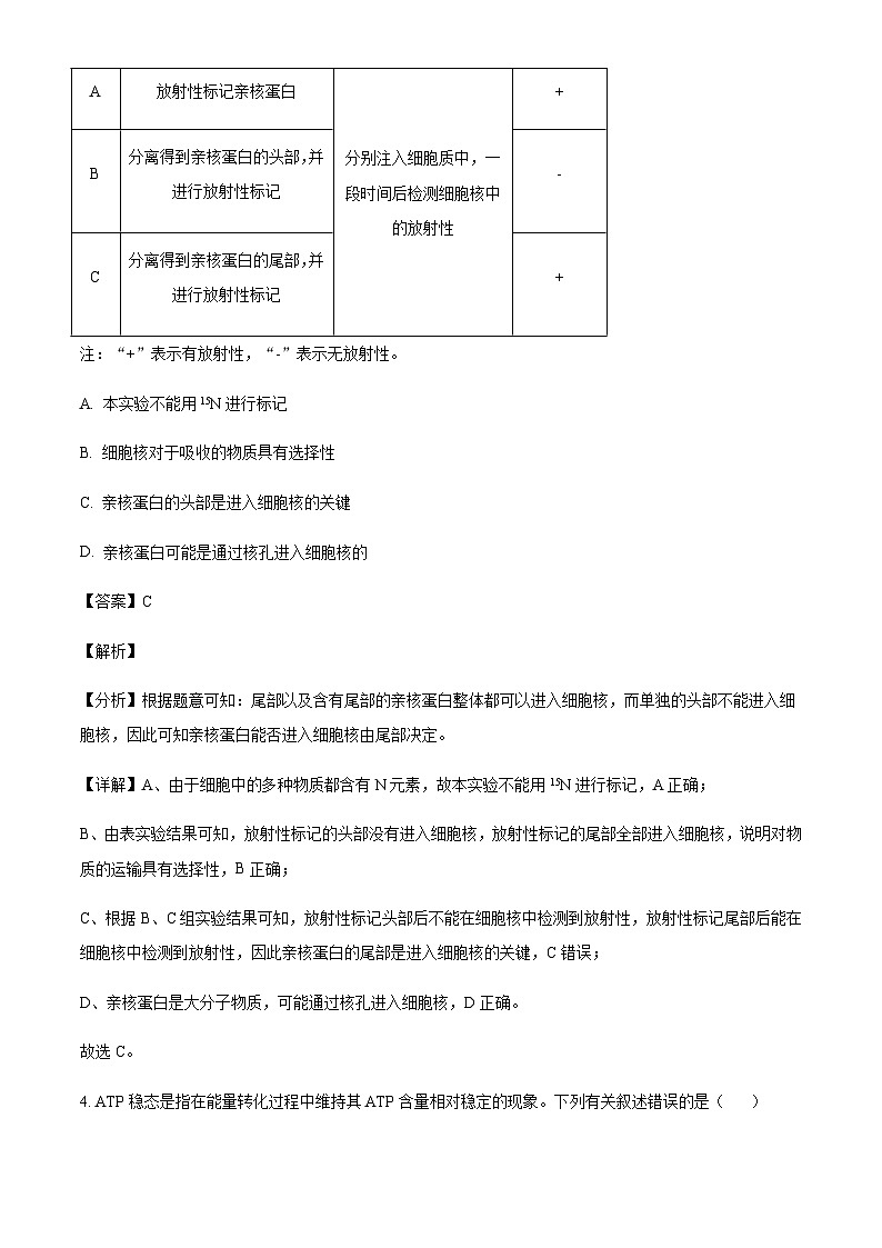 河北省衡水市2024-2025学年高三上学期10月学科素养检测生物含答案第3页