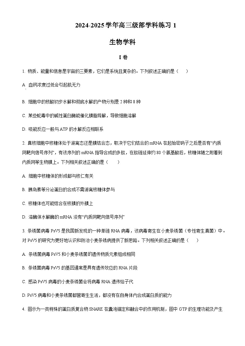 天津市顶级名校2024-2025学年高三上学期10月月考生物试题含答案第1页