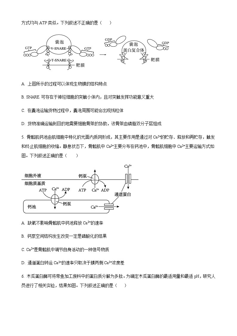 天津市顶级名校2024-2025学年高三上学期10月月考生物试题含答案第2页