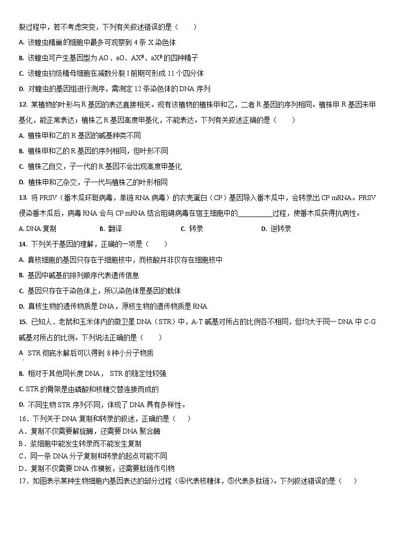 吉林省通化市梅河口市第五中学2024-2025学年高三上学期12月月考生物试题第3页
