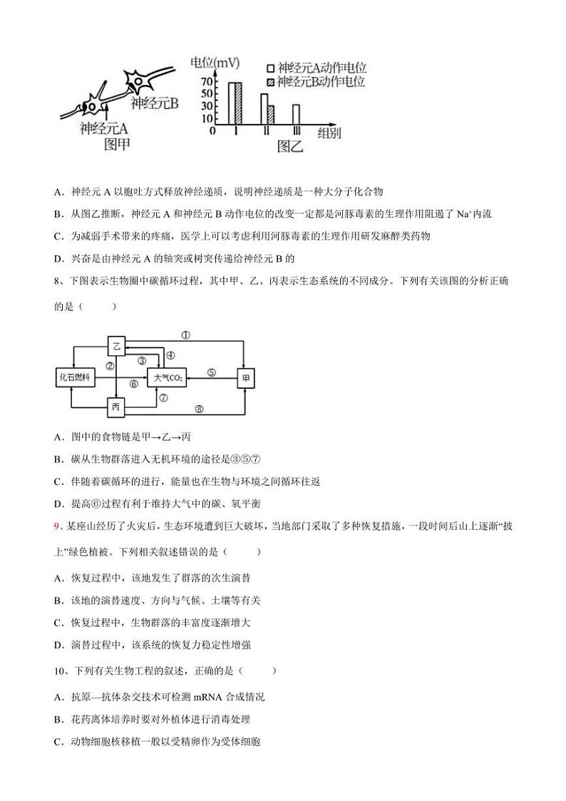 2024~2025学年甘肃省嘉峪关市嘉峪关市第一中学高二(上)12月月考生物试卷(含答案)第3页