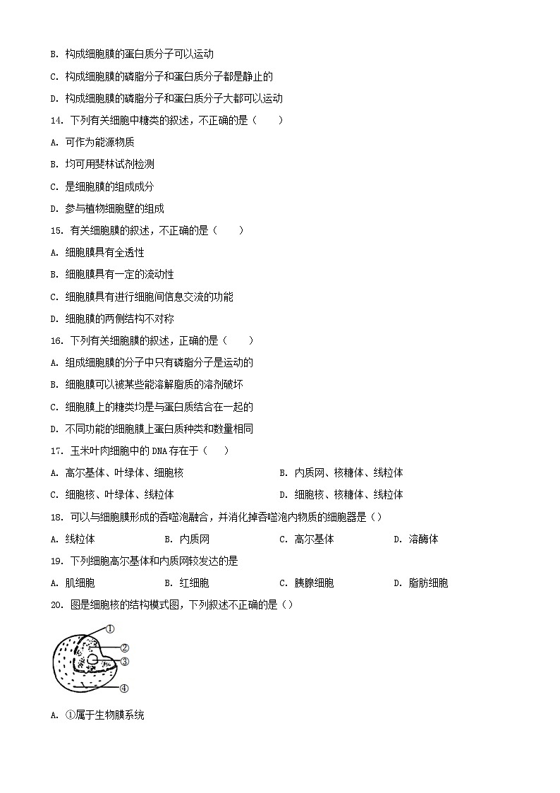北京市2023_2024学年高一生物上学期期中试题2含解析第3页