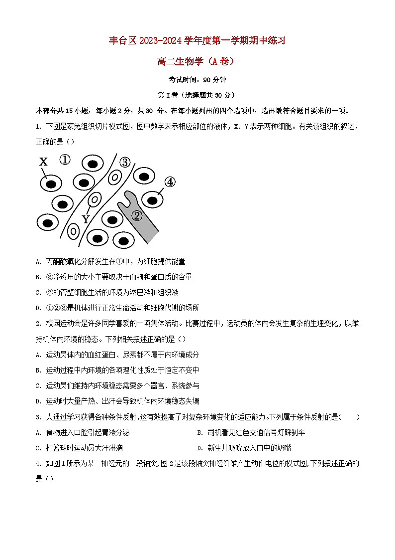 北京市丰台区2023_2024学年高二生物上学期期中试题A卷第1页