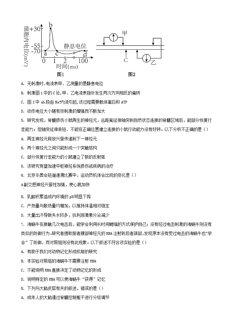 北京市丰台区2023_2024学年高二生物上学期期中试题A卷第2页