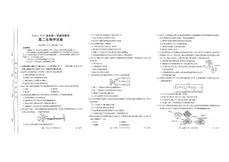 福建省龙岩市2023_2024学年高二生物上学期期中试题pdf第1页