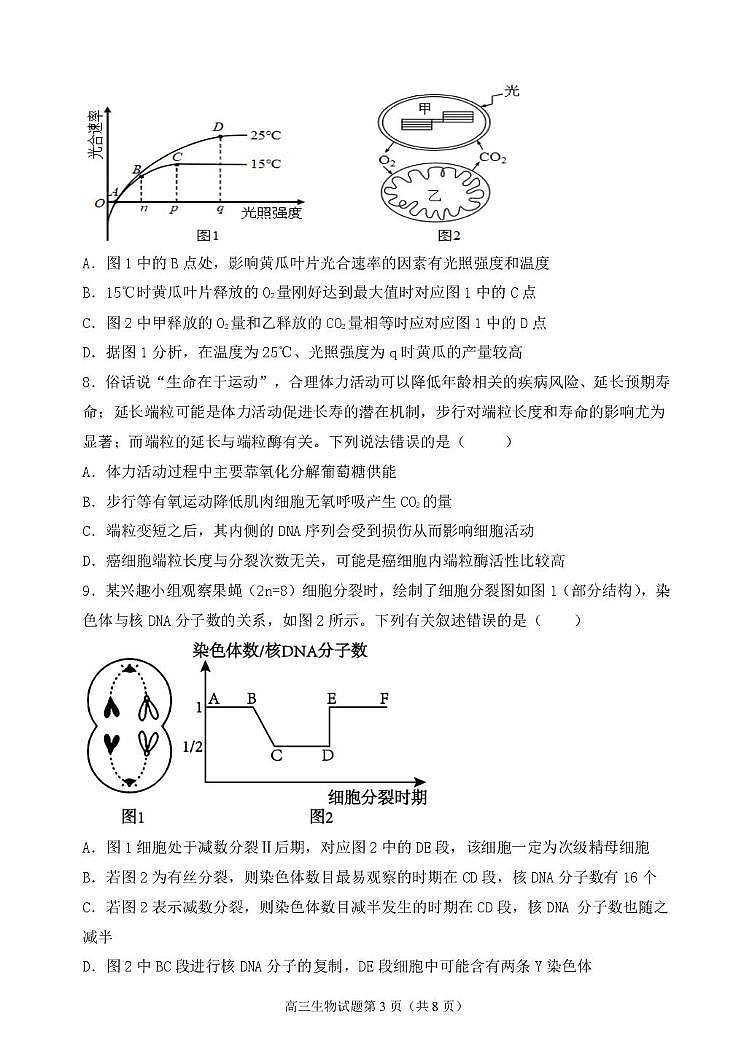 山西省太原市常青藤中学校、李林中学2024-2025学年高三上学期10月联考生物试题第3页