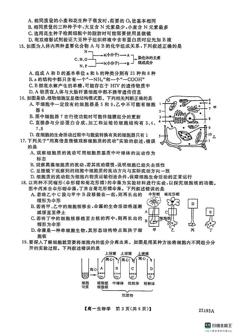 生物第3页