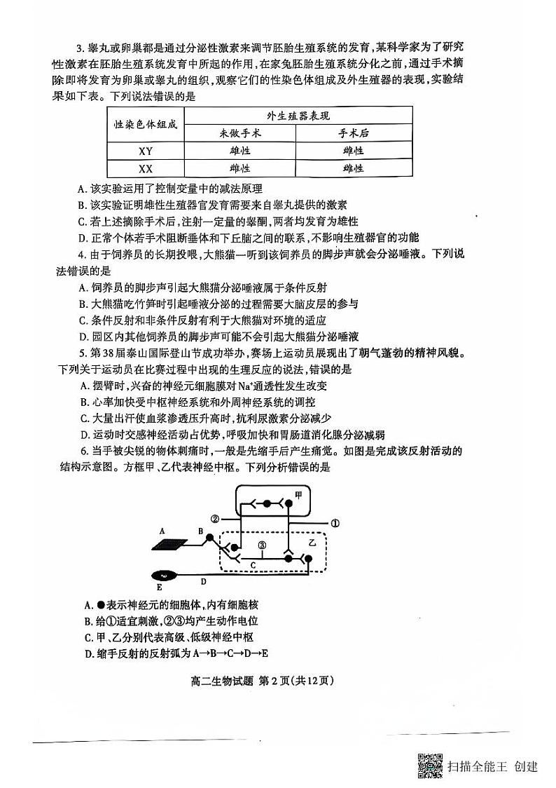 山东省泰安市2024-2025学年高二上学期11月期中生物试题第2页