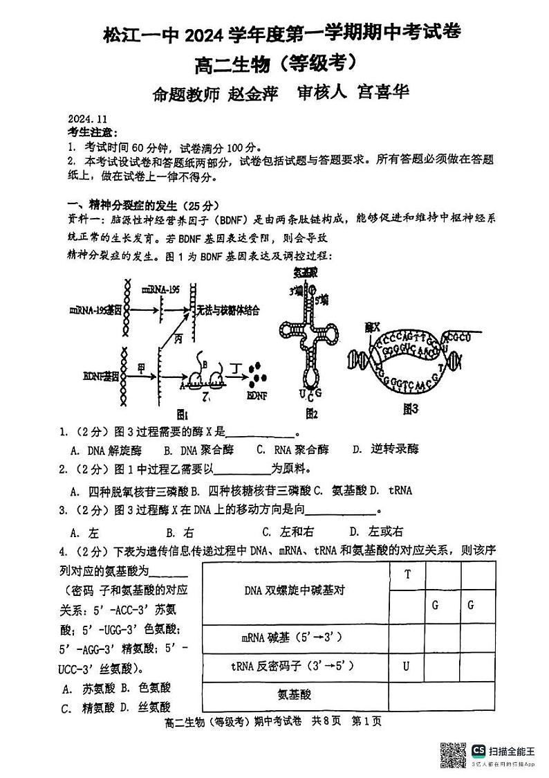 上海市松江一中2024-2025学年高二上学期期中生物试题第1页