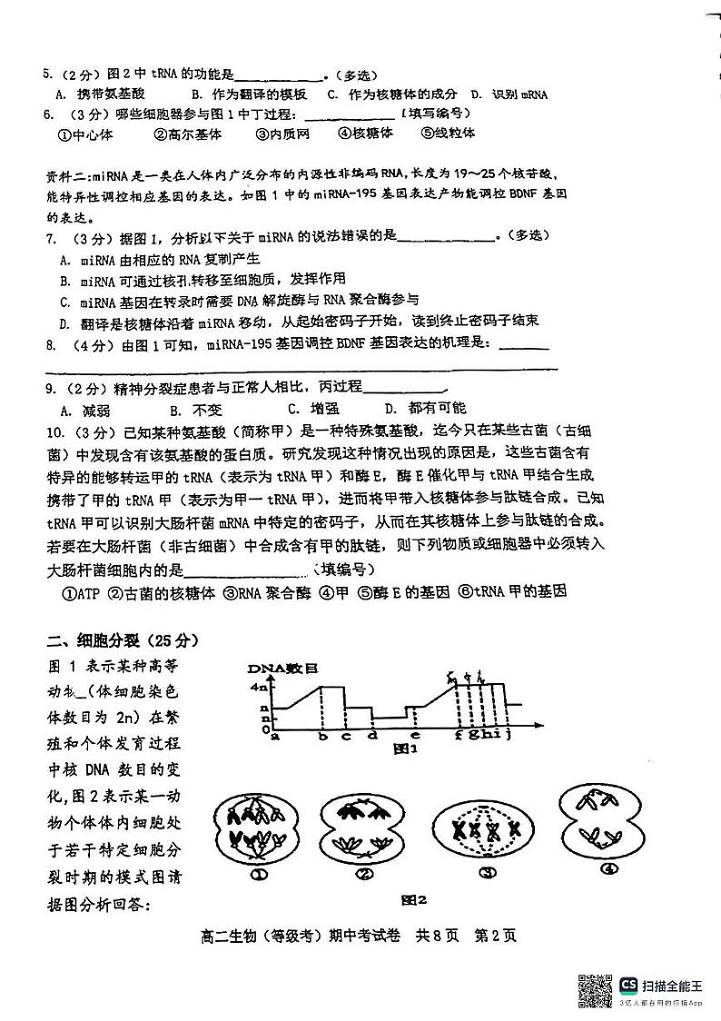 上海市松江一中2024-2025学年高二上学期期中生物试题第2页