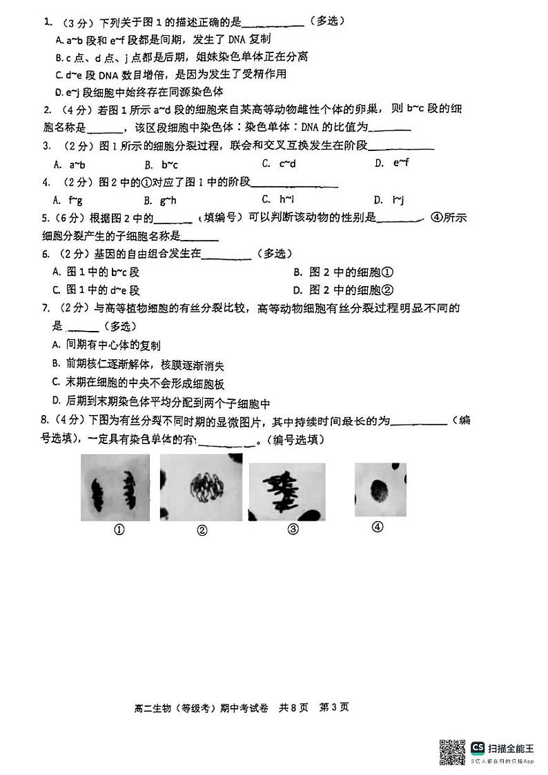 上海市松江一中2024-2025学年高二上学期期中生物试题第3页