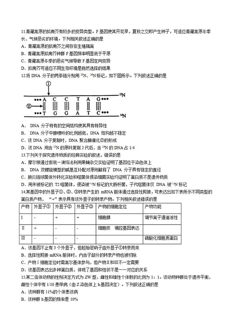 安徽省六安市毛坦厂中学2025届高三上学期11月期中考-生物试卷+答案第3页