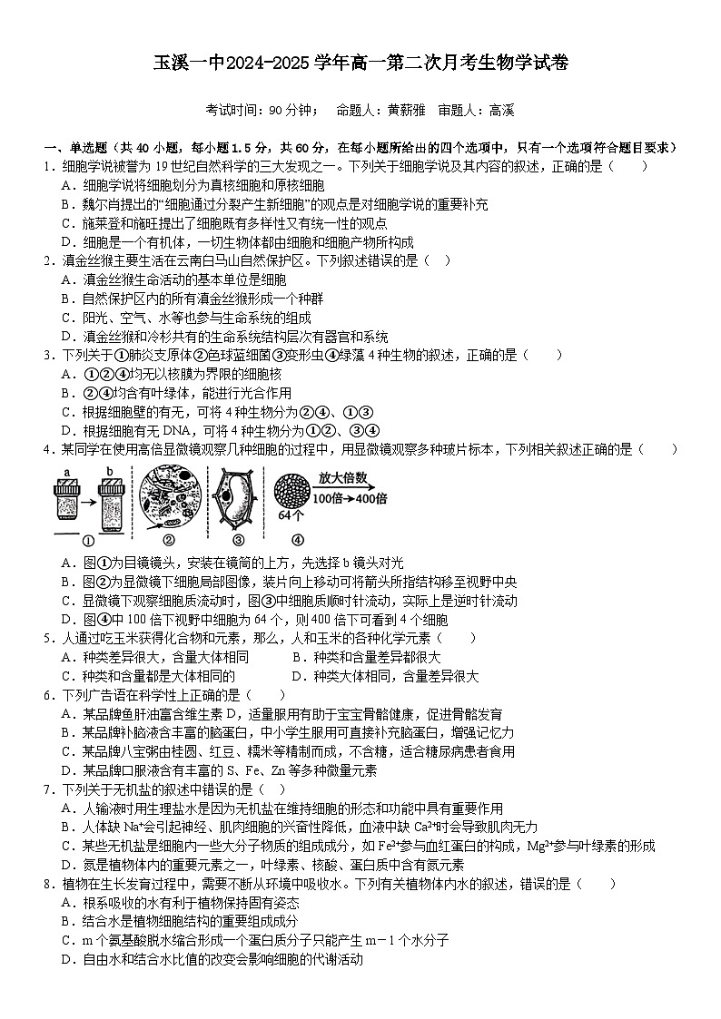 第二次月考生物试卷 第1页