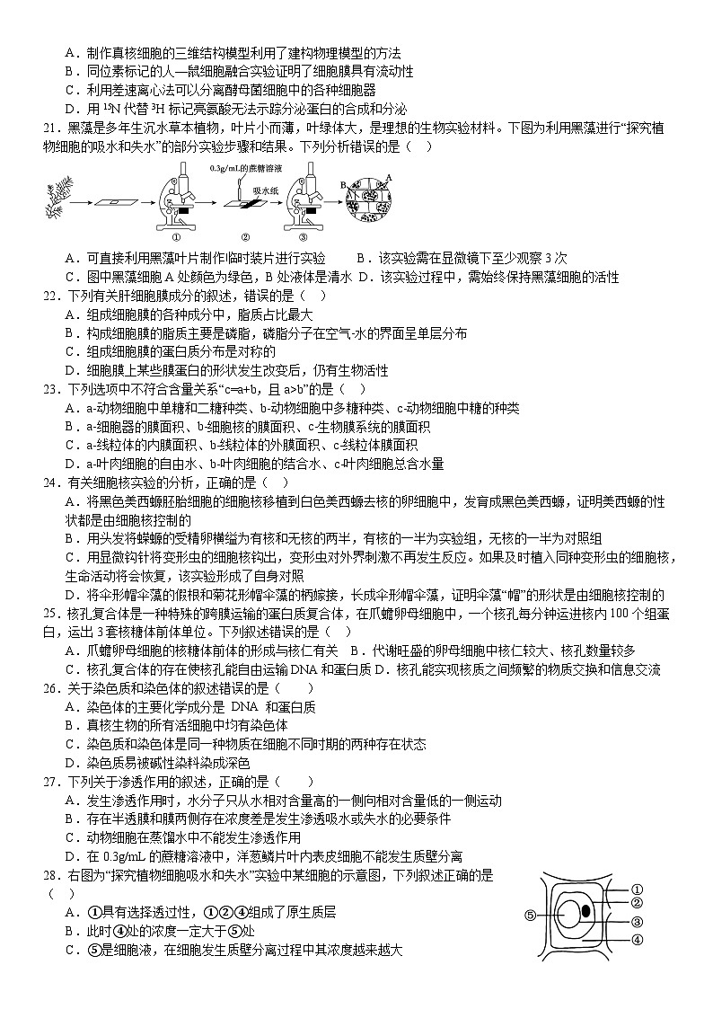第二次月考生物试卷 第3页