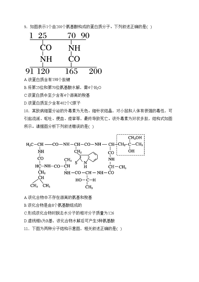 福建省福州市福9联盟校2024-2025学年高一上学期11月期中生物试卷(含答案)第3页