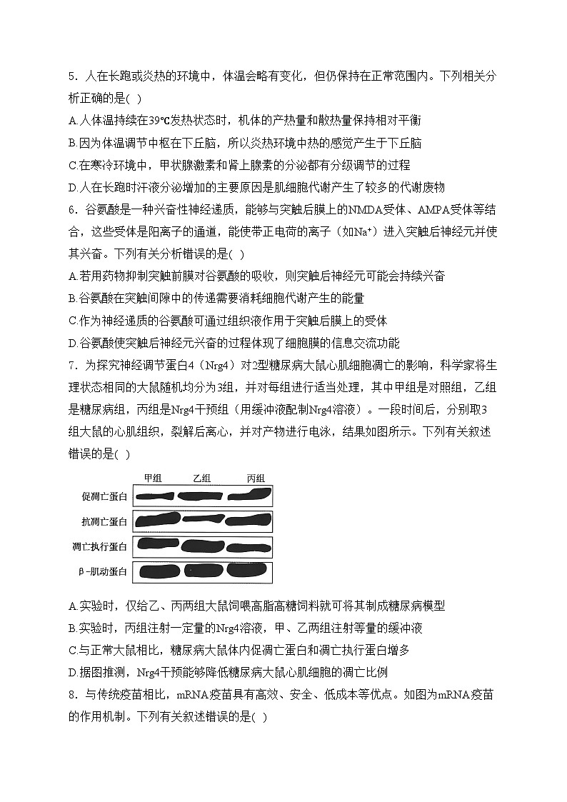 河北省沧州市三校联考2025届高三上学期11月期中考试生物试卷(含答案)第2页